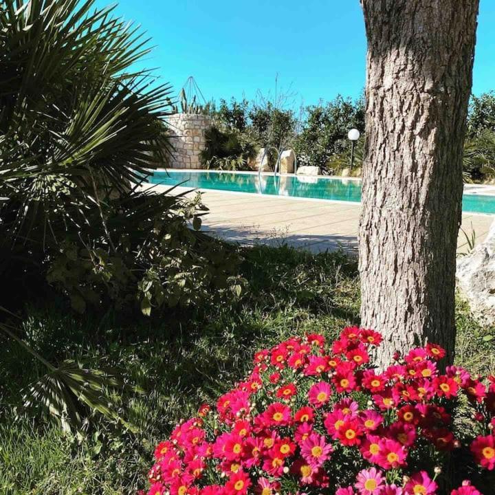 PUGLIAHOLIDAYPLUS-Villa Cassano Polignano a Mare Esterno foto